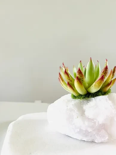 Crystals and Figurines 3